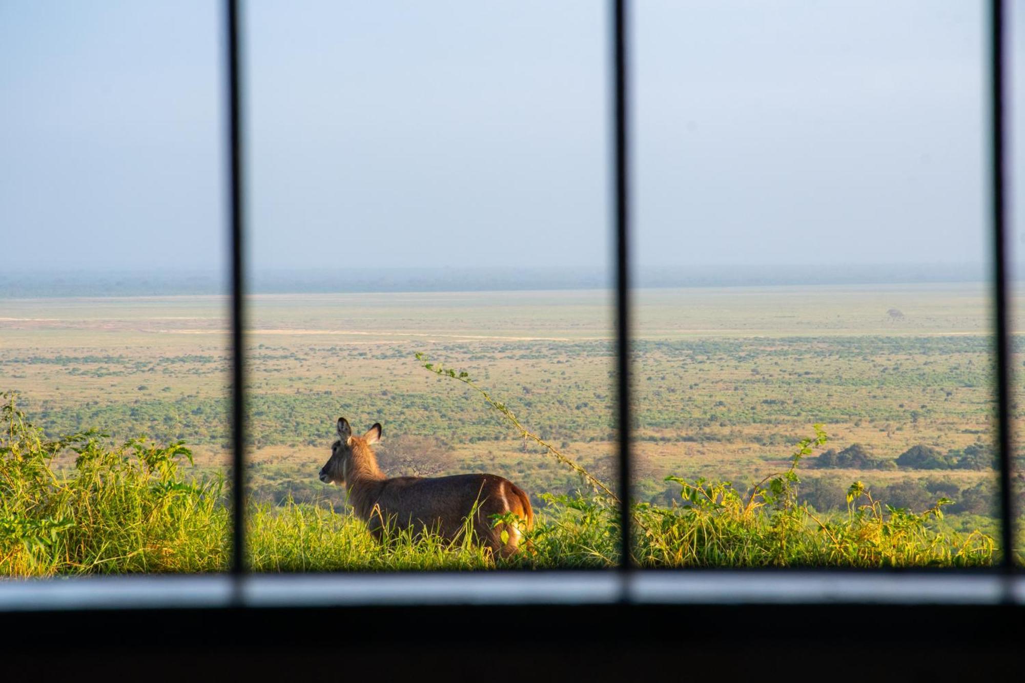 Voi Safari Lodge Extérieur photo